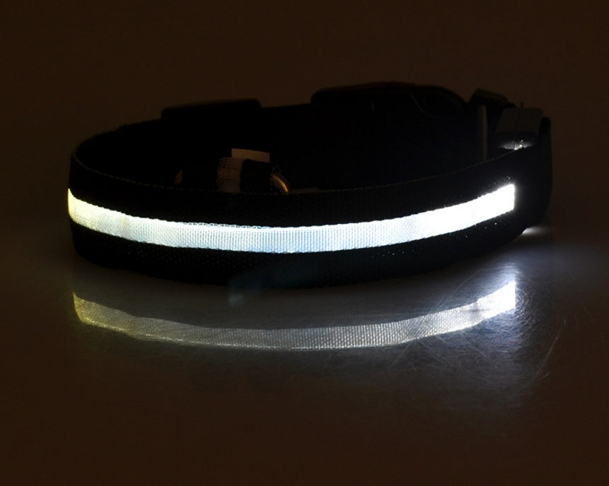 LED Dog Collar – Night Safety Glow