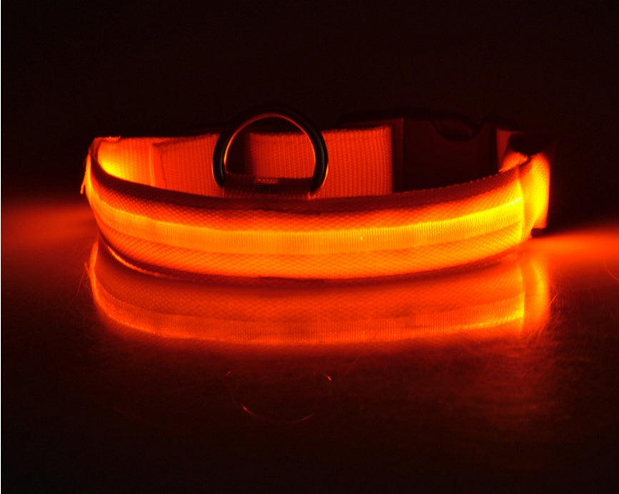 LED Dog Collar – Night Safety Glow
