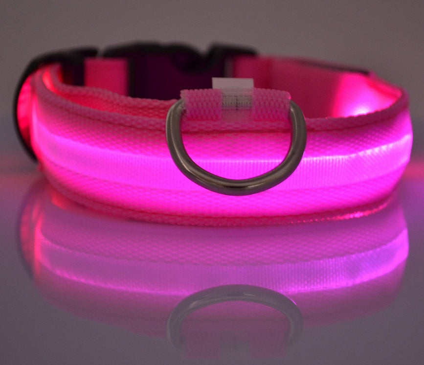 LED Dog Collar – Night Safety Glow