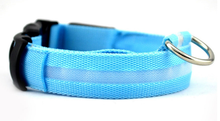 LED Dog Collar – Night Safety Glow