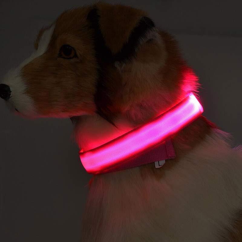 LED Dog Collar – Night Safety Glow