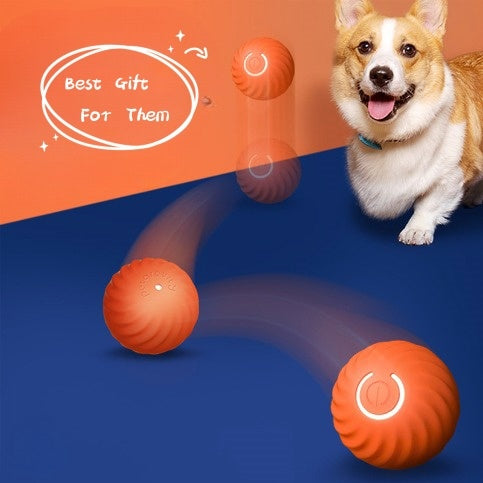 Dog Rubber Chew Ball