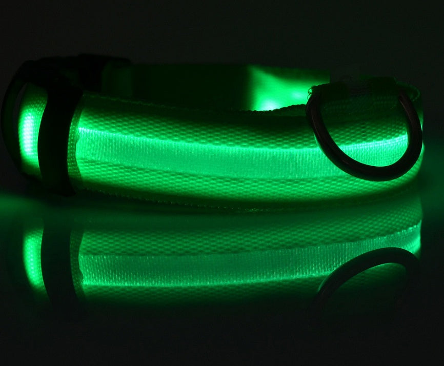 LED Dog Collar – Night Safety Glow