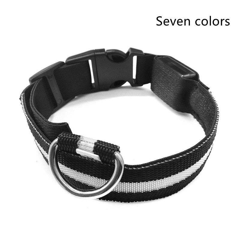 LED Dog Collar – Night Safety Glow