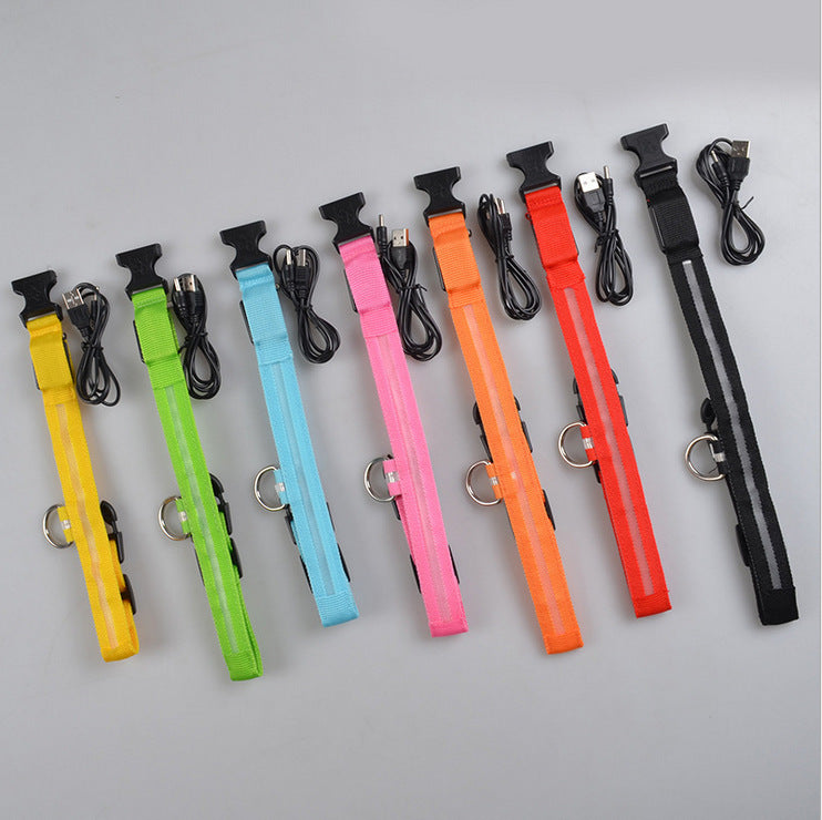LED Dog Collar – Night Safety Glow