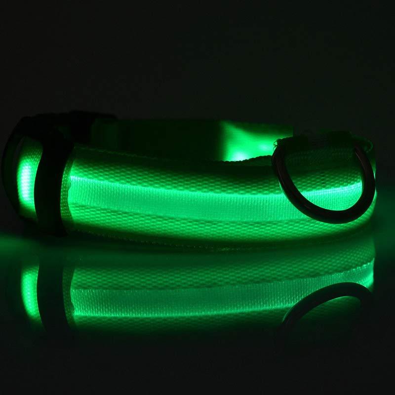LED Dog Collar – Night Safety Glow