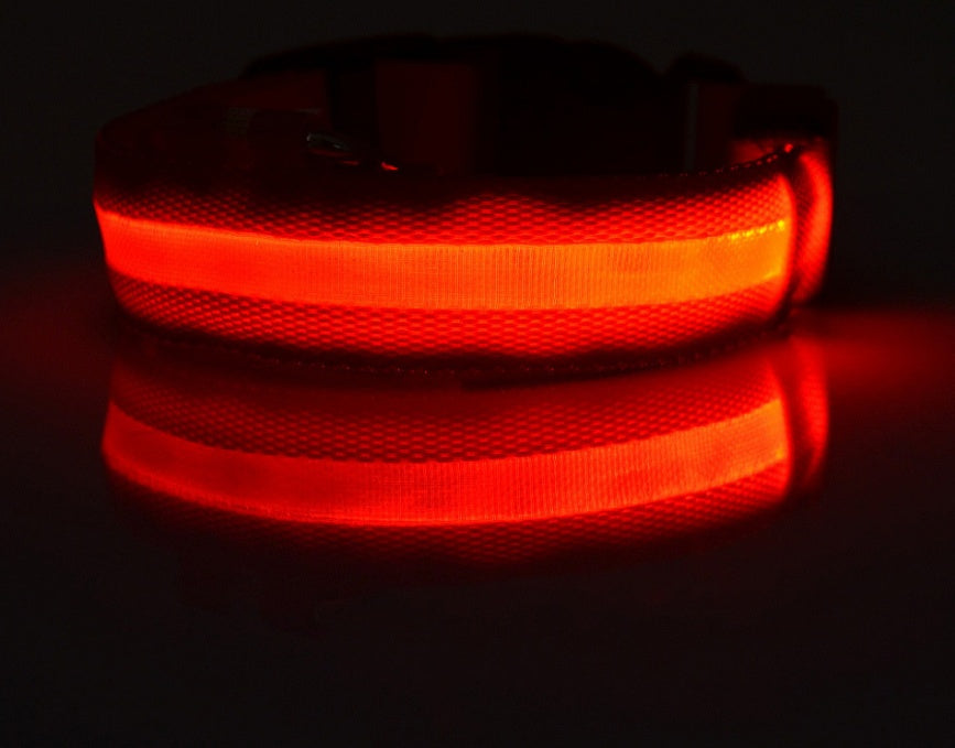 LED Dog Collar – Night Safety Glow