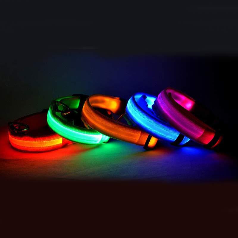 LED Dog Collar – Night Safety Glow