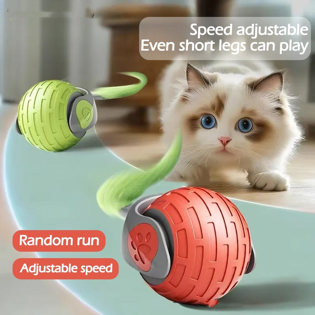 Automatic Cat Ball