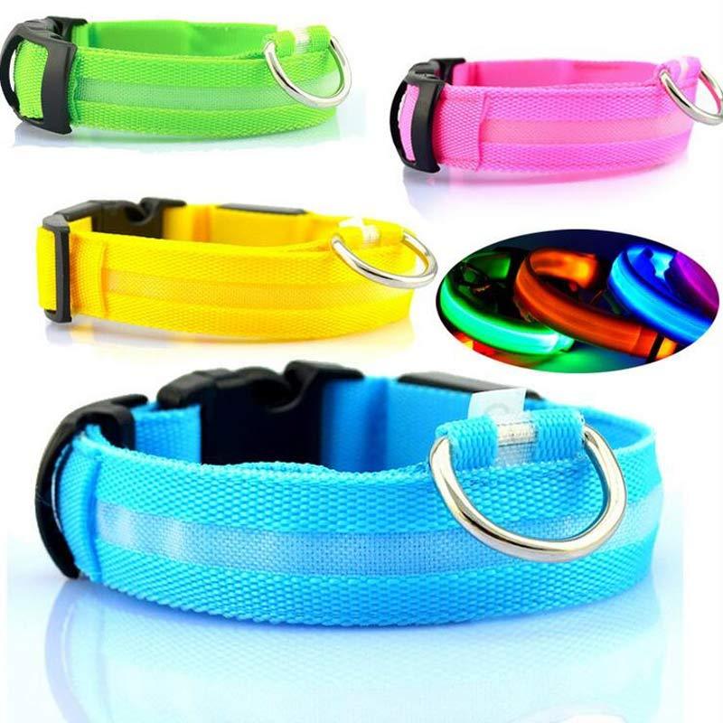 LED Dog Collar – Night Safety Glow