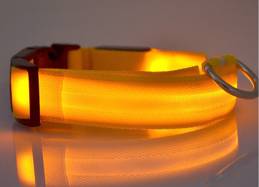 LED Dog Collar – Night Safety Glow