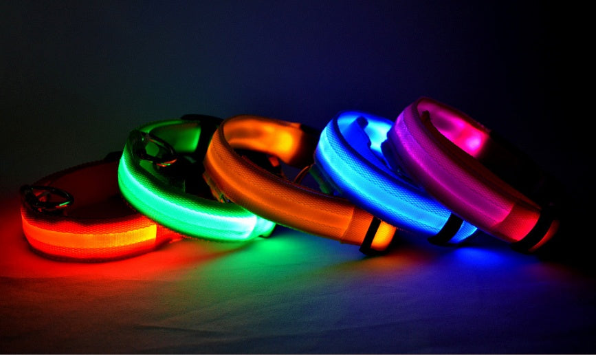 LED Dog Collar – Night Safety Glow