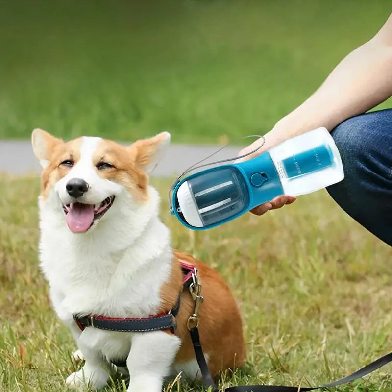 Portable Food and Water Bowl