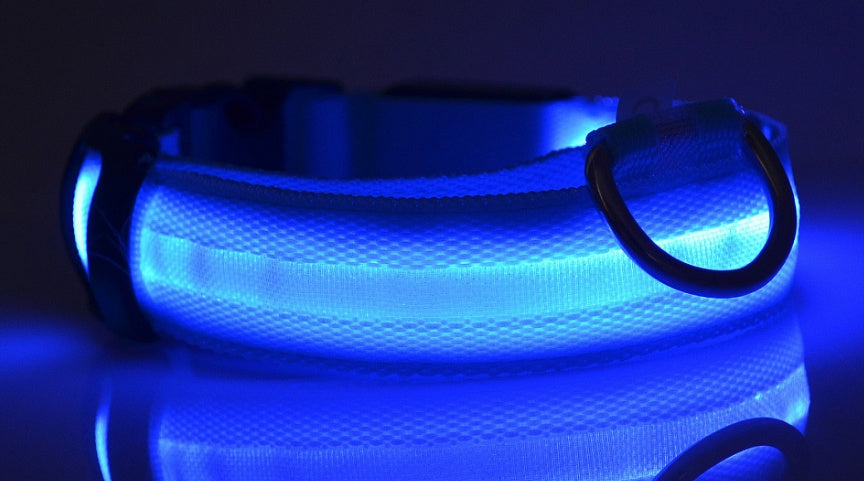 LED Dog Collar – Night Safety Glow