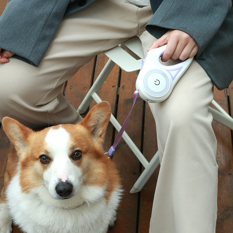 Retractable Dog Leash & Collar