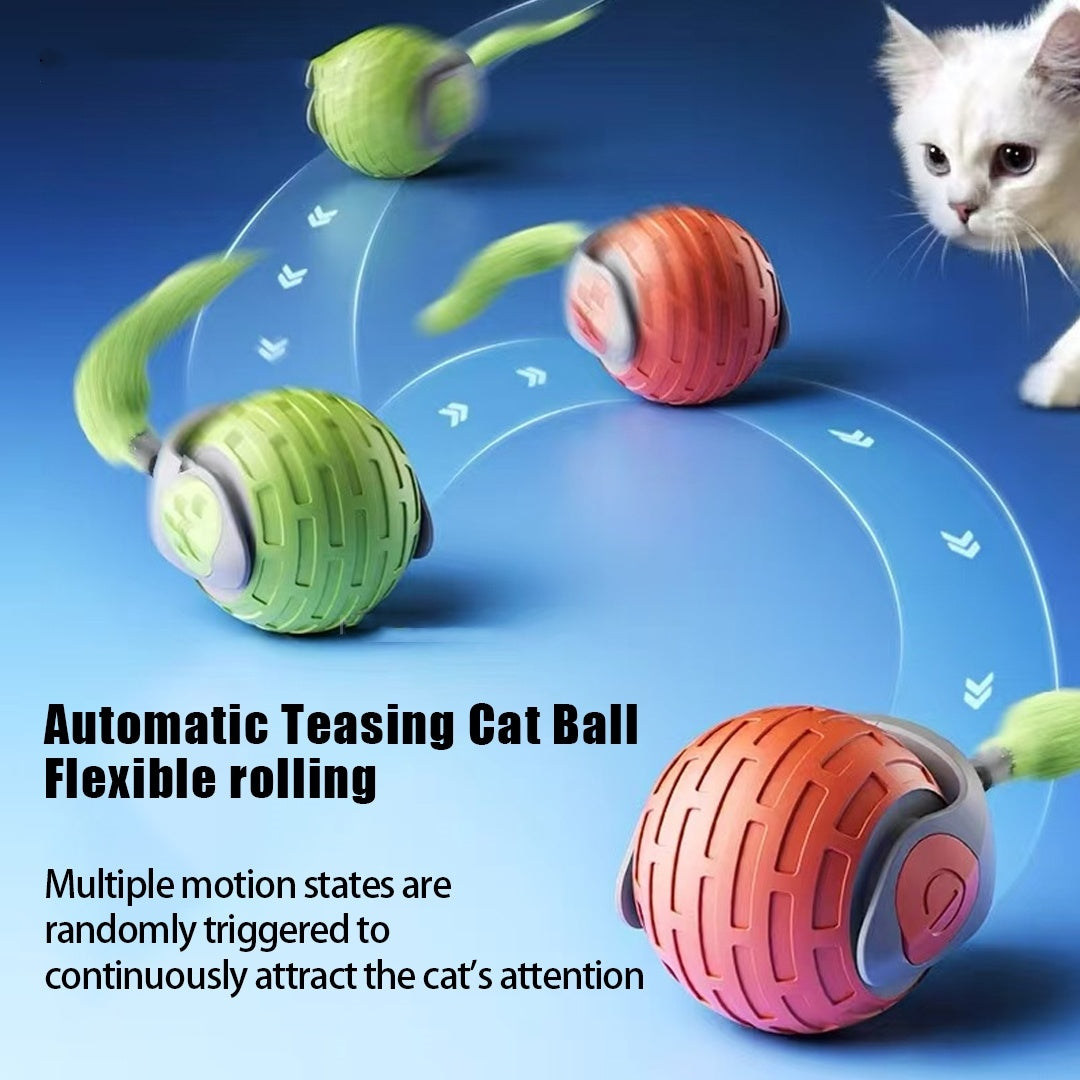 Automatic Cat Ball