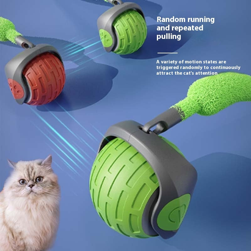 Automatic Cat Ball