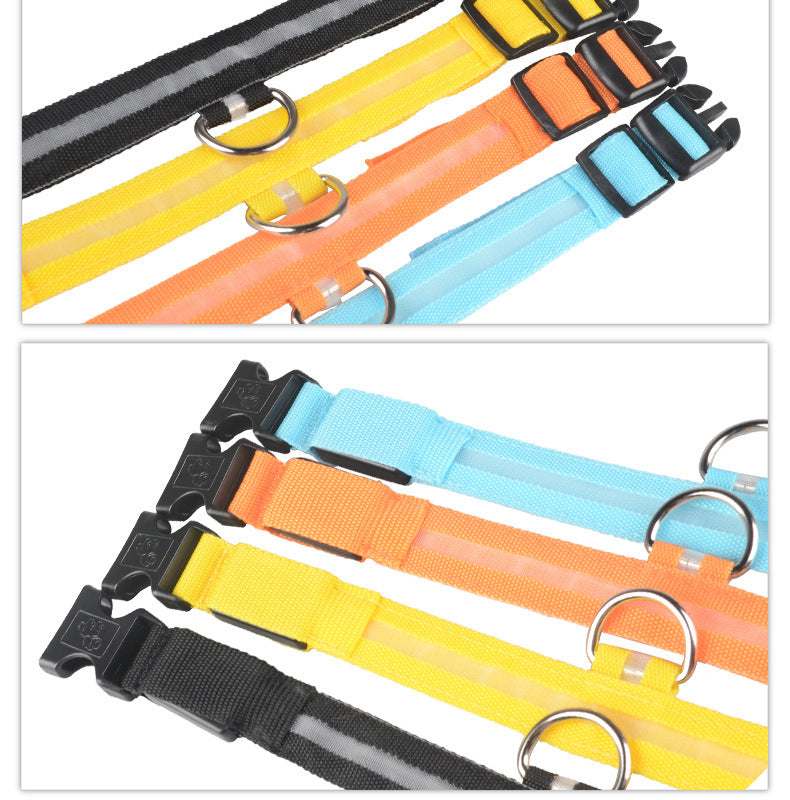 LED Dog Collar – Night Safety Glow
